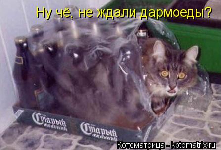 Ну чё, не ждали дармоеды?... Котоматрица: Ну чё, не ждали дармоеды?