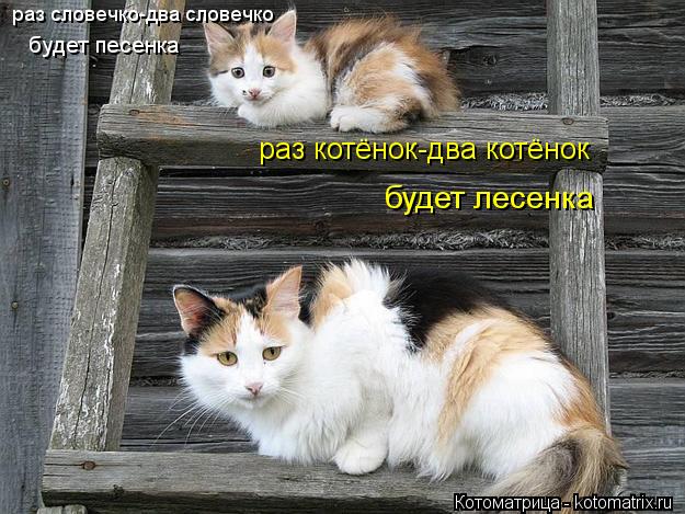 раз словечко-два словечко будет песенка раз котёнок-два котёнок будет лесенка... Котоматрица: раз словечко-два словечко будет песенка раз котёнок-два котёнок будет лесенка