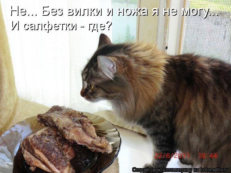 Котоматрица: Не... Без вилки и ножа я не могу... И салфетки - где?