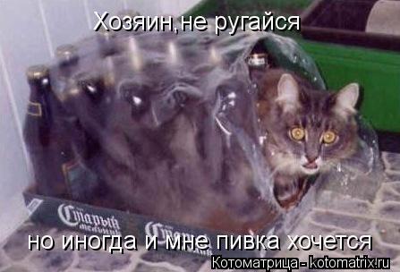 Котоматрица: Хозяин,не ругайся  но иногда и мне пивка хочется