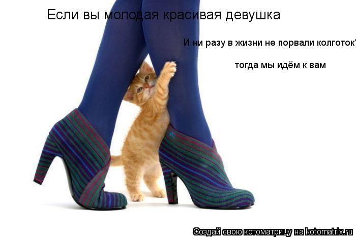 Если вы молодая красивая девушка И ни разу в жизни не порвали колготок?! тогда мы идём к вам... Котоматрица: Если вы молодая красивая девушка И ни разу в жизни не порвали колготок?! тогда мы идём к вам