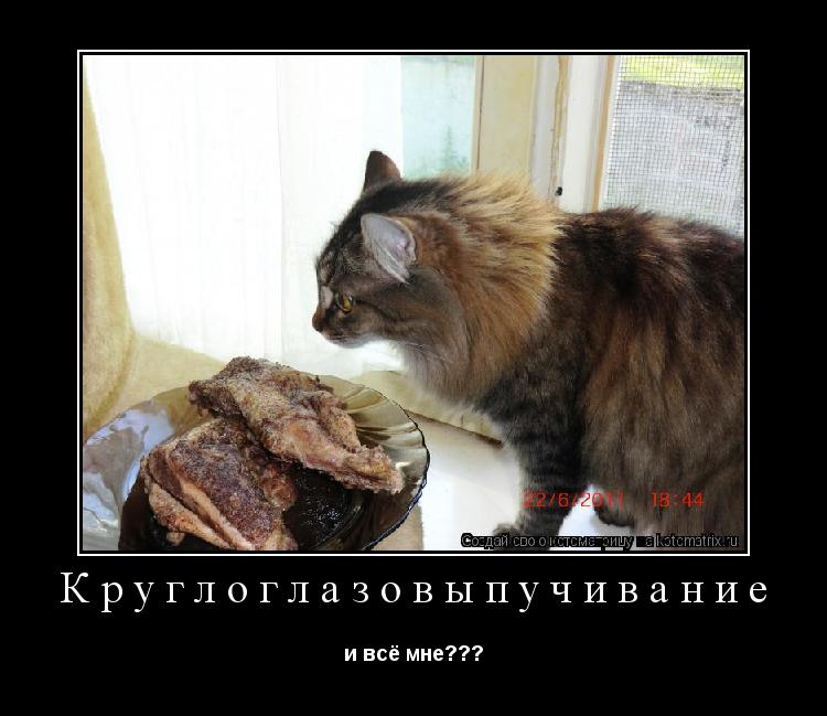Котоматрица: Круглоглазовыпучивание и всё мне???