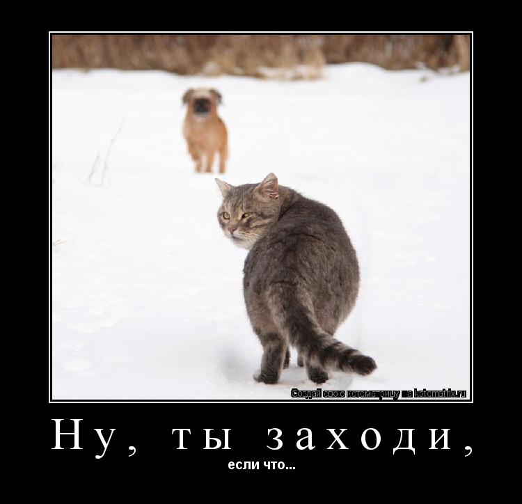 Котоматрица: Ну, ты заходи, если что...