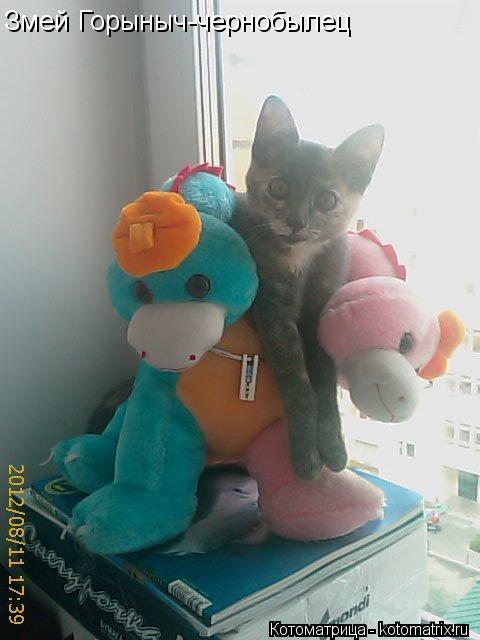 Котоматрица: Змей Горыныч-чернобылец