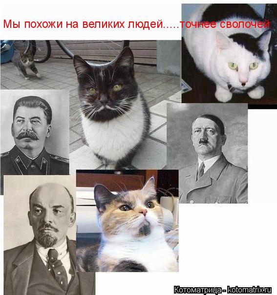 Котоматрица: Мы похожи на великих людей.....точнее сволочей