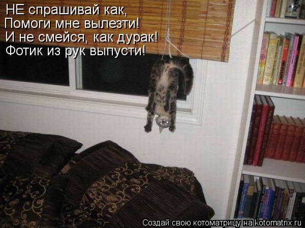 Котоматрица: НЕ спрашивай как, Помоги мне вылезти! И не смейся, как дурак! Фотик из рук выпусти!