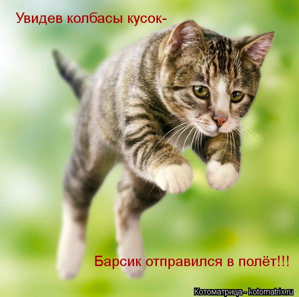 Котоматрица: Увидев колбасы кусок-  Барсик отправился в полёт!!!