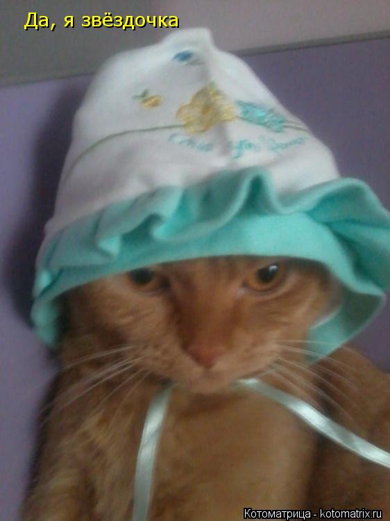 Котоматрица: Да, я звёздочка