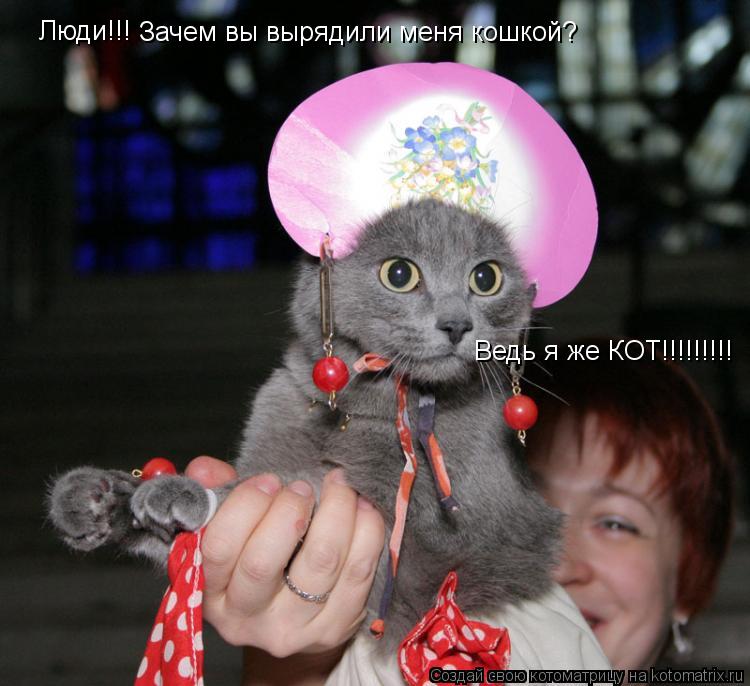 Котоматрица: Люди!!! Зачем вы вырядили меня кошкой? Ведь я же КОТ!!!!!!!!!