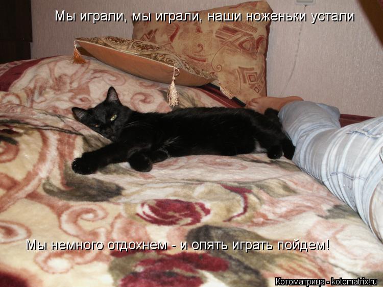 Котоматрица: Мы немного отдохнем - и опять играть пойдем! Мы играли, мы играли, наши ноженьки устали