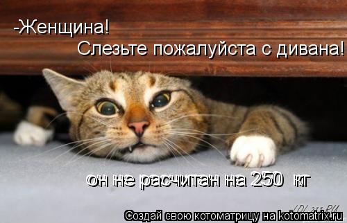 Котоматрица: -Женщина!  Слезьте пожалуйста с дивана!!!!!!! он не расчитан на 250  кг он не расчитан на 250  кг