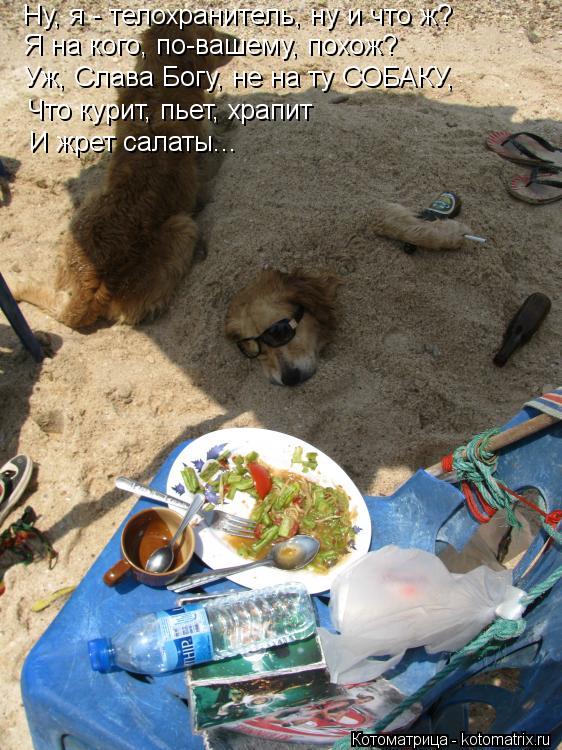 Ну, я - телохранитель, ну и что ж? Я на кого, по-вашему, похож? Уж, Слава Богу, не на ту СОБАКУ, Что ... Котоматрица: Ну, я - телохранитель, ну и что ж? Я на кого, по-вашему, похож? Уж, Слава Богу, не на ту СОБАКУ, Что курит, пьет, храпит И жрет салаты...