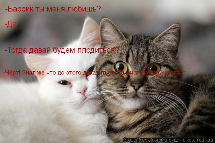 Котоматрица: -Барсик ты меня любишь? -Да -Тогда давай будем плодиться? -Чёрт! Знал же что до этого докатиться! Таксист!На карй света!