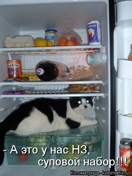 Котоматрица: - А это у нас НЗ,  суповой набор!!!