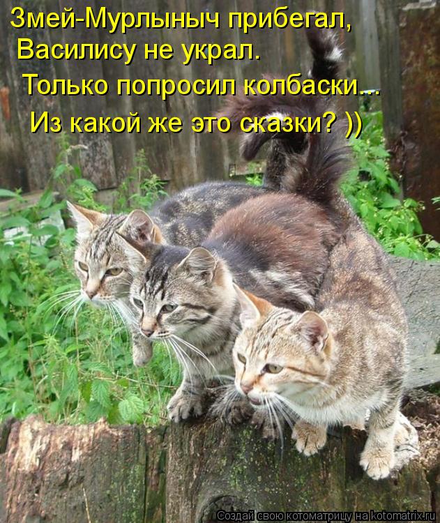 Котоматрица: Змей-Мурлыныч прибегал,  Василису не украл.  Только попросил колбаски...  Из какой же это сказки? ))