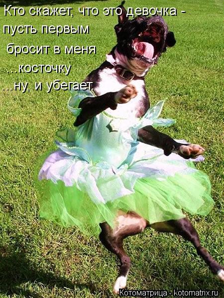 Котоматрица: Кто скажет, что это девочка - пусть первым  бросит в меня  ...косточку ...ну, и убегает.