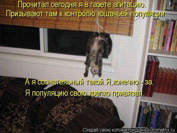 Котоматрица: Прочитал сегодня я в газете агитацию. Призывают там к контролю кошачьей популяции. А я сознательный такой.Я,конечно - за. Я популяцию свою кр