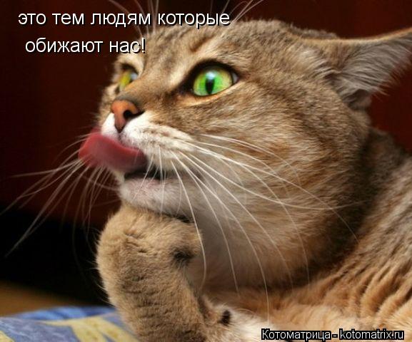 это тем людям которые обижают нас!... Котоматрица: это тем людям которые обижают нас!