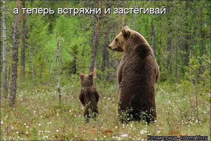 Котоматрица: а теперь встряхни и застёгивай