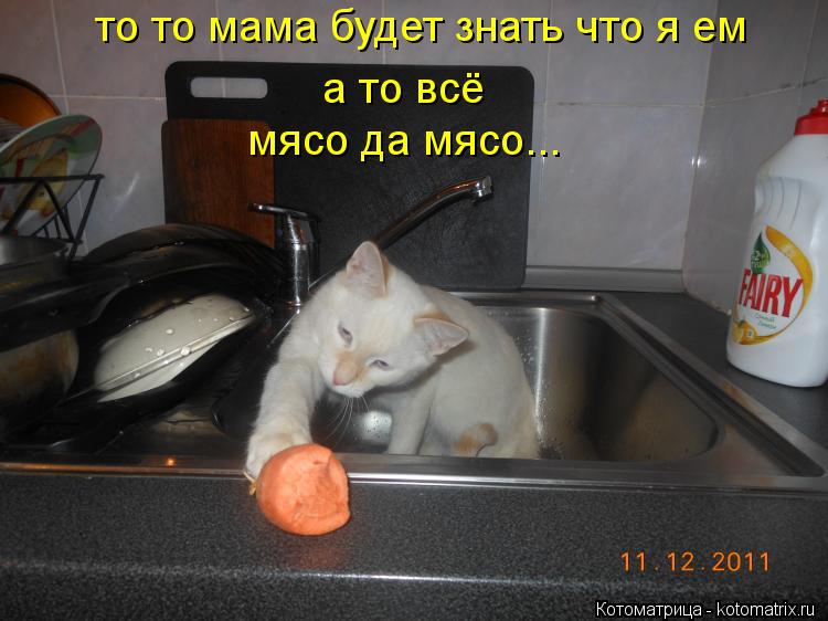 Котоматрица: то то мама будет знать что я ем а то всё мясо да мясо...