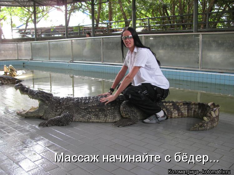 Котоматрица: Массаж начинайте с бёдер...