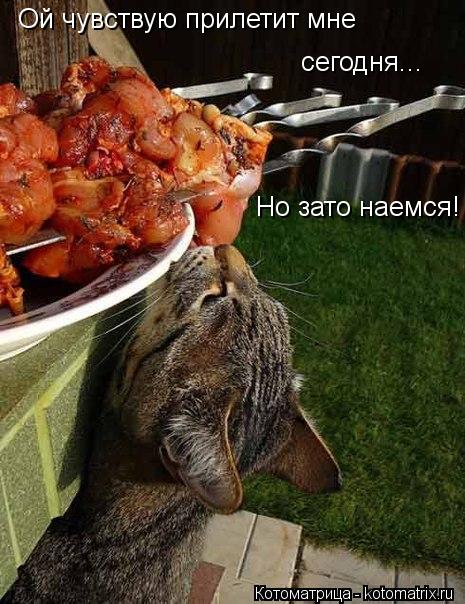Ой чувствую прилетит мне сегодня... Но зато наемся!... Котоматрица: Ой чувствую прилетит мне сегодня... Но зато наемся!