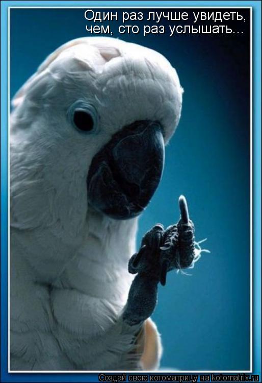 Котоматрица: Один раз лучше увидеть,  чем, сто раз услышать...