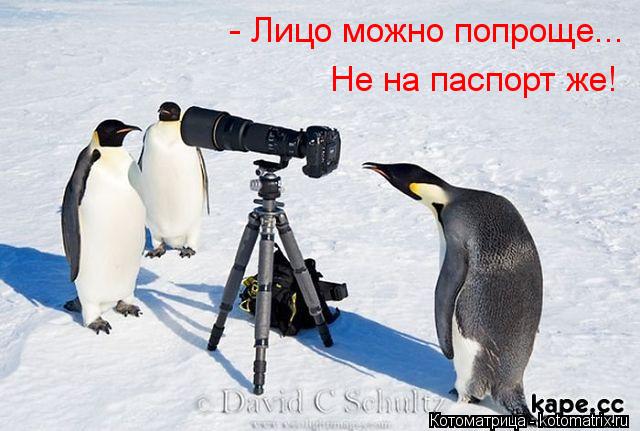 Котоматрица: - Лицо можно попроще... Не на паспорт же!