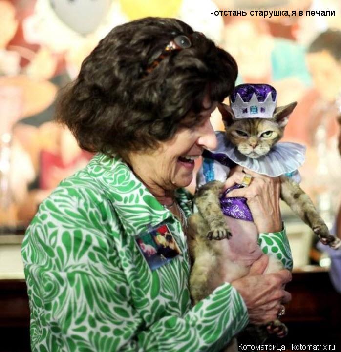 Котоматрица: -отстань старушка,я в печали