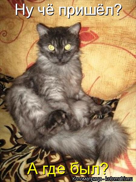 Котоматрица: Ну чё пришёл? А где был?