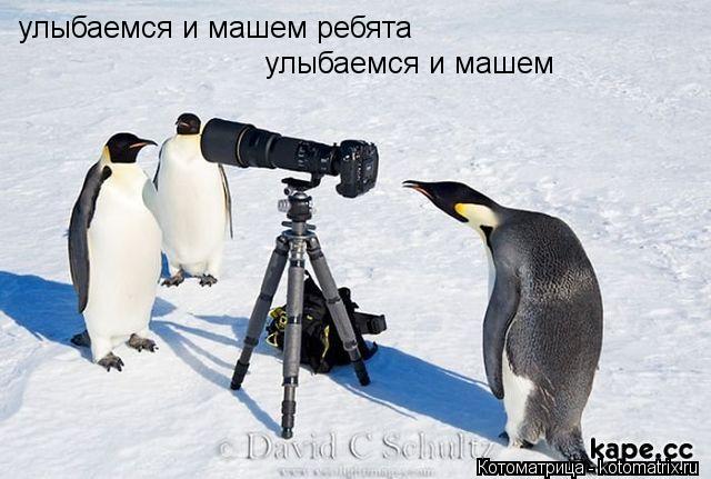 улыбаемся и машем ребята улыбаемся и машем... Котоматрица: улыбаемся и машем ребята улыбаемся и машем