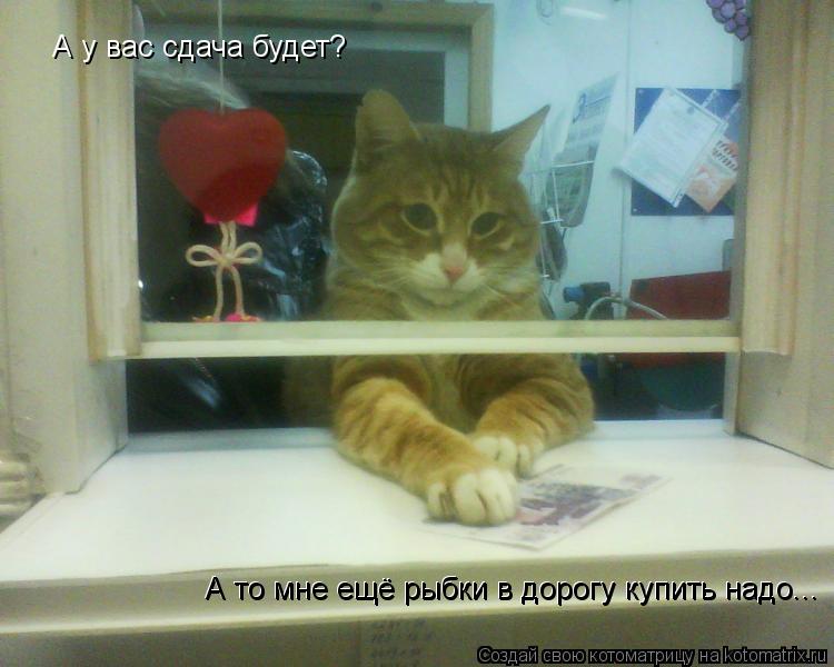 Котоматрица: А у вас сдача будет? А то мне ещё рыбки в дорогу купить надо... А то мне ещё рыбки в дорогу купить надо...
