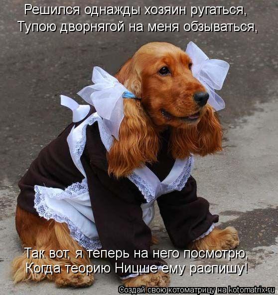 Котоматрица: Решился однажды хозяин ругаться, Тупою дворнягой на меня обзываться, Так вот, я теперь на него посмотрю, Когда теорию Ницше ему распишу!