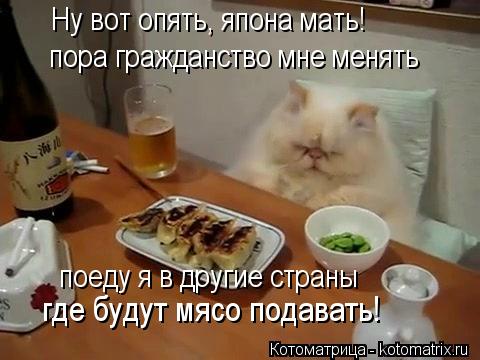 Ну вот опять, япона мать! пора гражданство мне менять поеду я в другие страны где будут мясо подавать... Котоматрица: Ну вот опять, япона мать! пора гражданство мне менять поеду я в другие страны где будут мясо подавать!