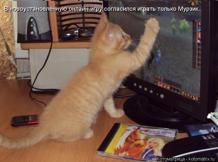 Котоматрица: В новоустановленную онлайн-игру согласился играть только Мурзик.