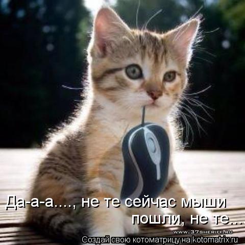 Котоматрица: Да-а-а...., не те сейчас мыши  пошли, не те....