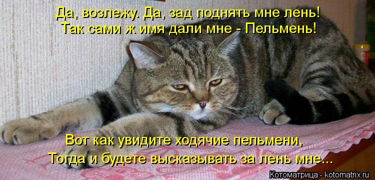 Так сами ж имя дали мне - Пельмень! Да, возлежу. Да, зад поднять мне лень! Тогда и будете высказывать... Котоматрица: Так сами ж имя дали мне - Пельмень! Да, возлежу. Да, зад поднять мне лень! Тогда и будете высказывать за лень мне... Вот как увидите ходячие пель