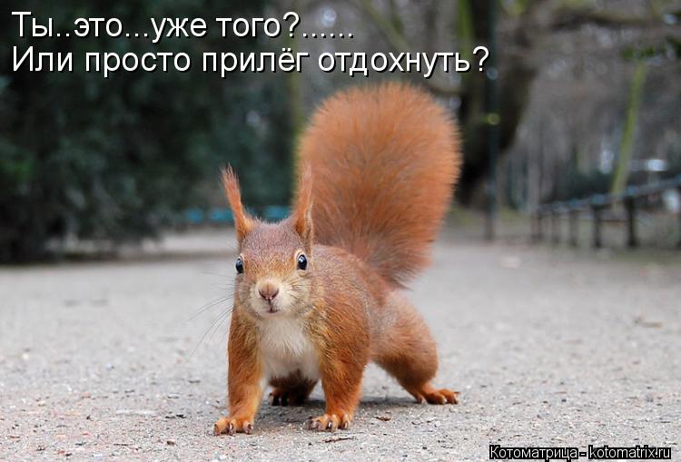 Котоматрица: Ты..это...уже того?...... Или просто прилёг отдохнуть?