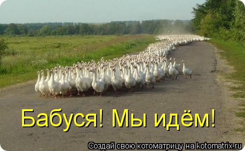 Котоматрица: Бабуся! Мы идём!