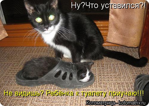 Котоматрица: Ну?Что уставился?! Не видишь? Ребёнка к туалету приучаю!!!