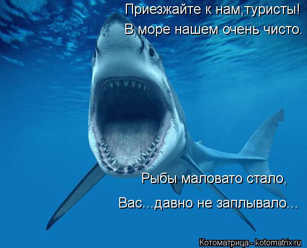 Котоматрица: Приезжайте к нам,туристы! В море нашем очень чисто. Рыбы маловато стало, Вас...давно не заплывало...
