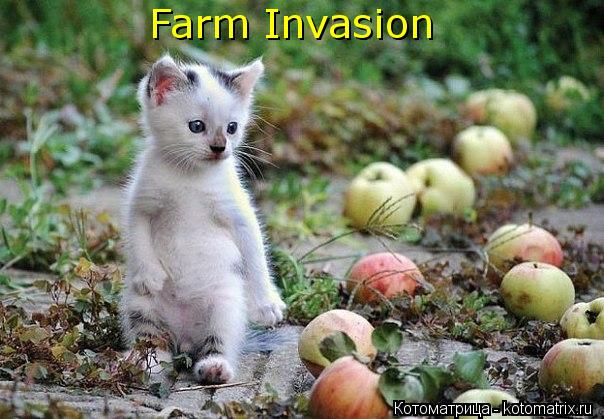 Котоматрица: Farm Invasion