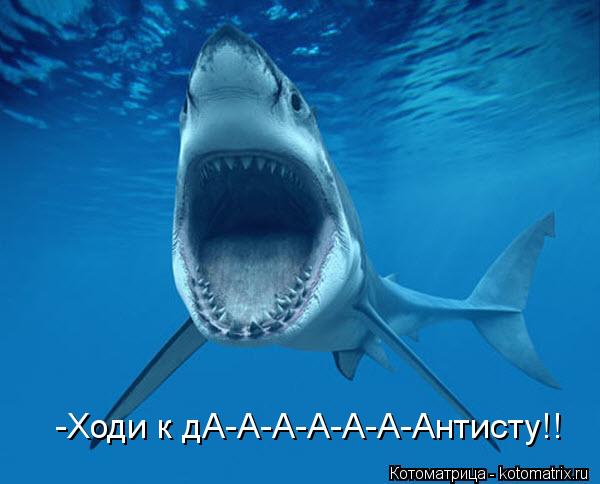 Котоматрица: -Ходи к дА-А-А-А-А-А-Антисту!!