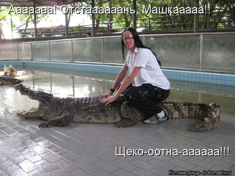 Котоматрица: Ааааааа! Отстаааааань, Машкааааа!!  Щеко-оотна-аааааа!!!