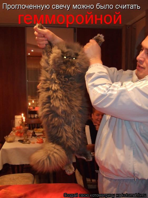Котоматрица: Проглоченную свечу можно было считать гемморойной
