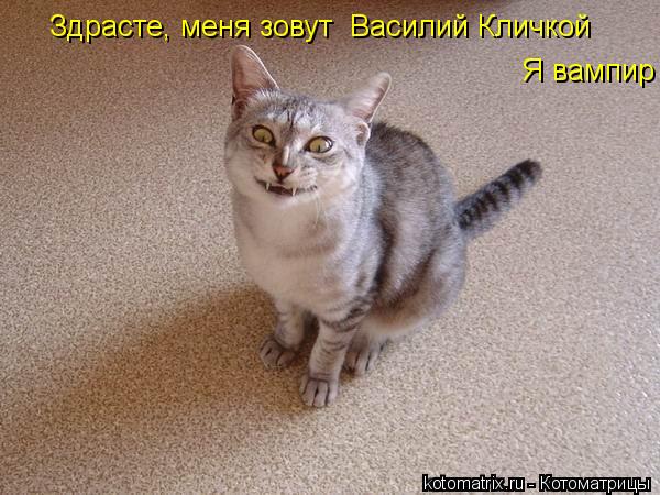 Котоматрица: Здрасте, меня зовут  Василий Кличкой Я вампир