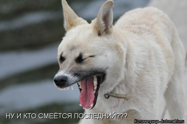 Котоматрица: НУ И КТО СМЕЁТСЯ ПОСЛЕДНИЙ???