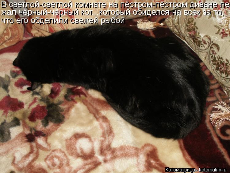 Котоматрица: В светлой-светлой комнате на пёстром-пёстром диване ле- жал чёрный-чёрный кот...который обиделся на всех за то, что его обделили свежей рыбой