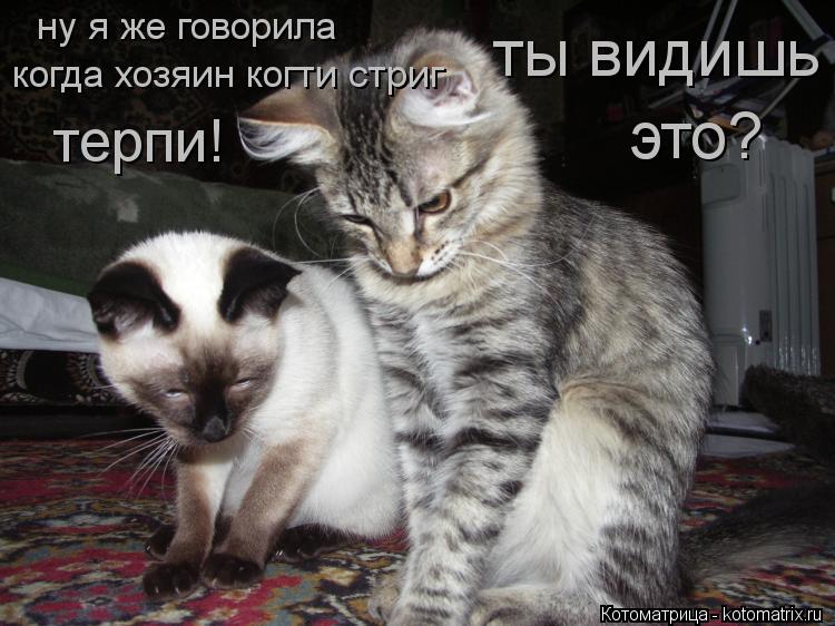 я подниму а ты лови я подниму а ты лови