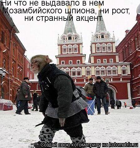 Котоматрица: Ни что не выдавало в нем Мозамбийского шпиона, ни рост, ни странный акцент.